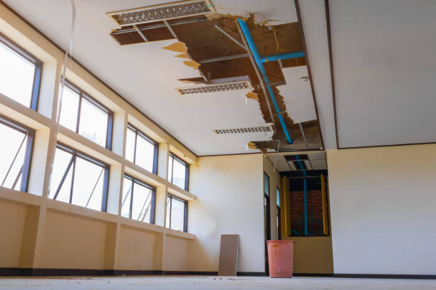 Best Flood restoration services  in Naranja, FL