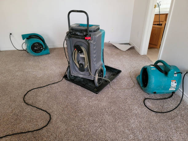 Best Flooded house restoration  in Naranja, FL