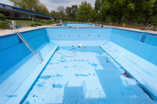 Best Basement water damage restoration  in Naranja, FL