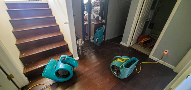  Naranja, FL Water damage restoration Pros