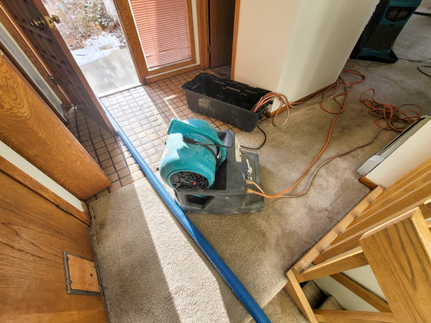 Best Residential water damage restoration  in Naranja, FL