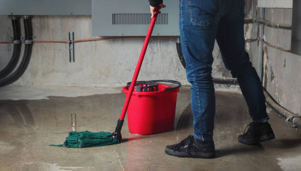 Best 24-hour water damage restoration  in Naranja, FL