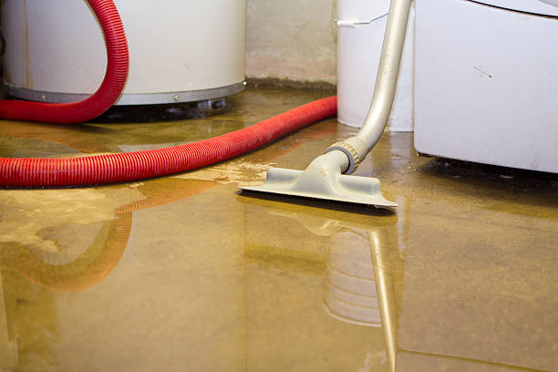 Best Water damage restoration near me  in Naranja, FL