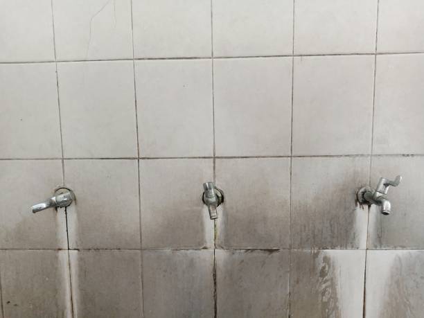 Best Commercial water damage restoration  in Naranja, FL